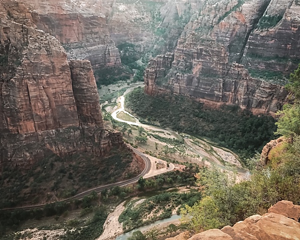 looking down into the valley from Scout Lookout in Zion National Park