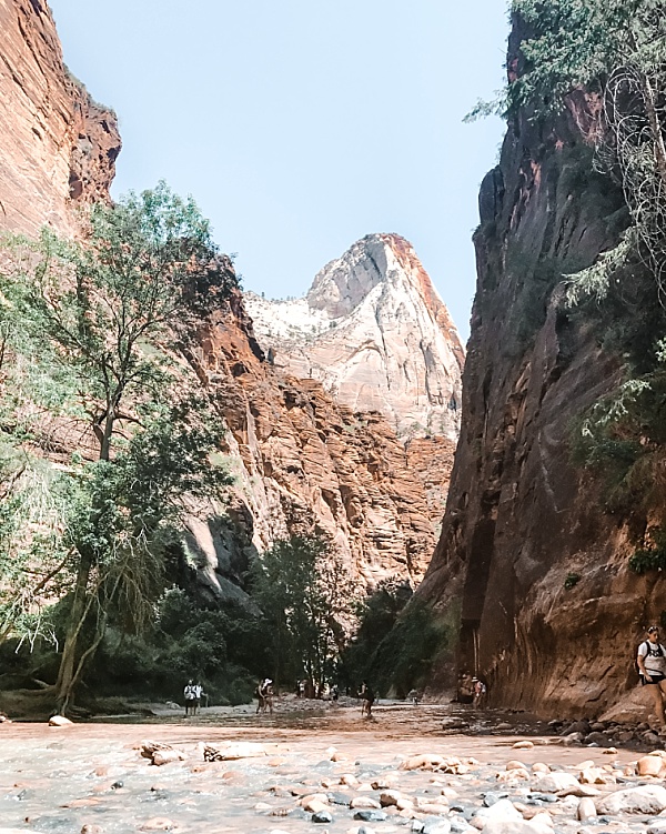 People walk in a narrow river running between the canyons in Zion National Park