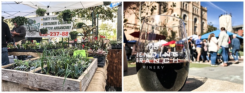 A plant stand and a glass of wine at the Pearl Brewery Farmers Market in San Antonio, TX