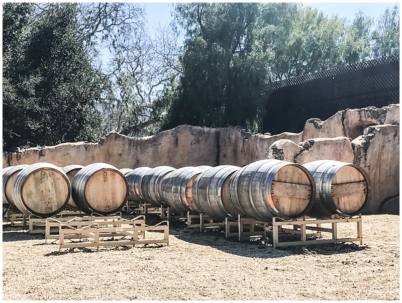 Read more about the article Why Your Next Santa Barbara Visit Should Include a Visit to Santa Ynez Wineries