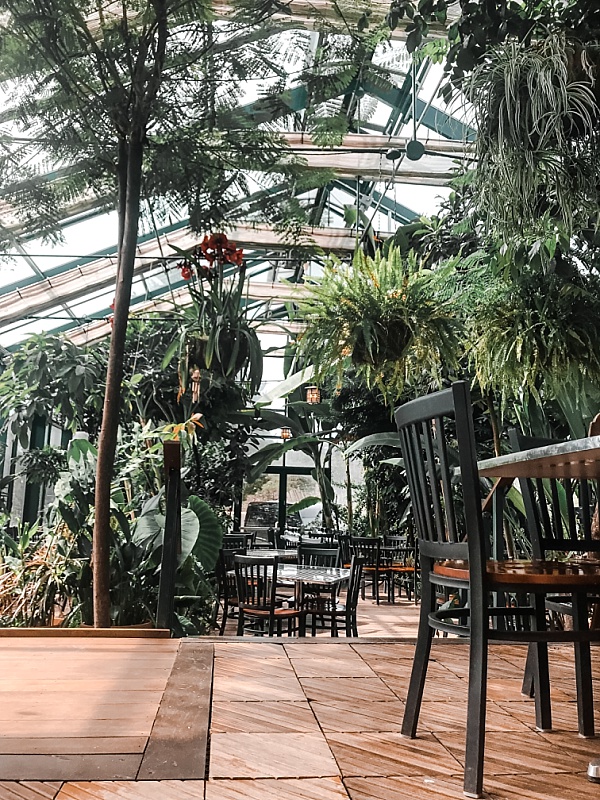 Lush greenery and tables and chairs fill a glass encased room similar to a greenhouse at Glass House Winery